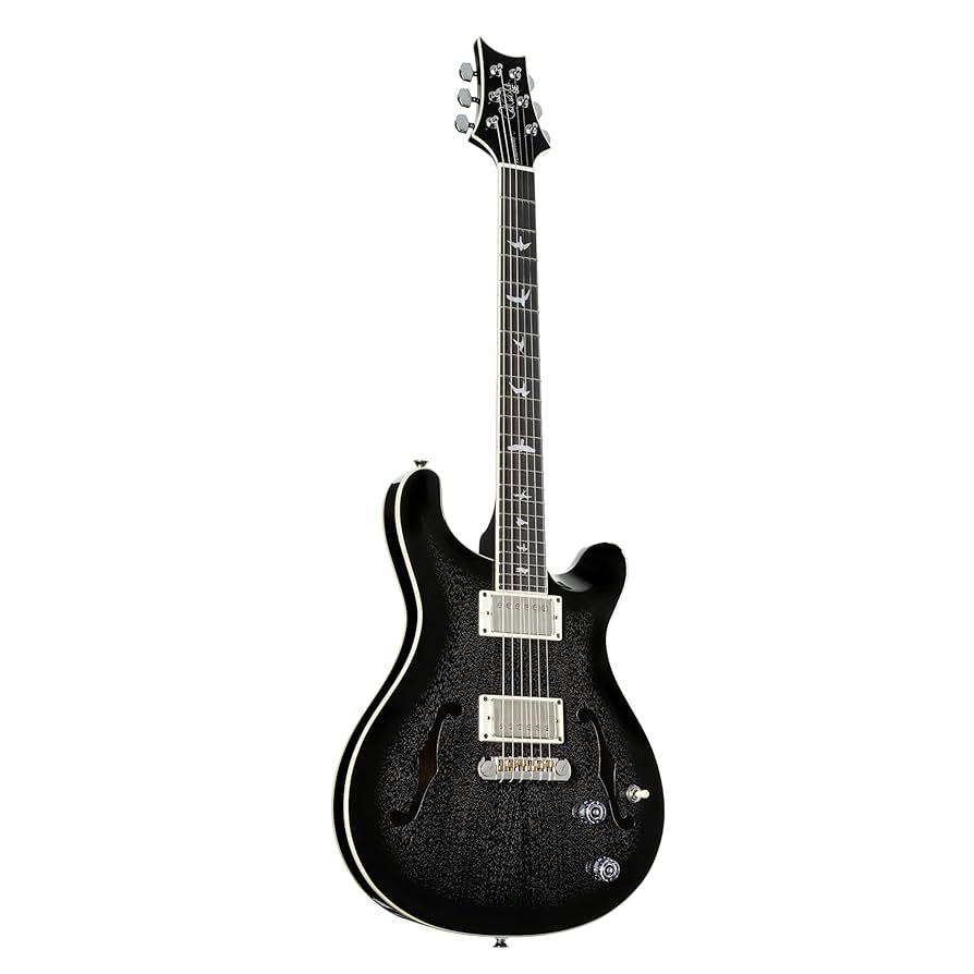 【5/6まで値下げ中】PRS Hollowbody SE サンバースト PRS SE Hollowbody Standard: Price, Specs and Best Deals